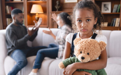 How Florida Custody Decisions Really Work: What Judges Actually Look For…
