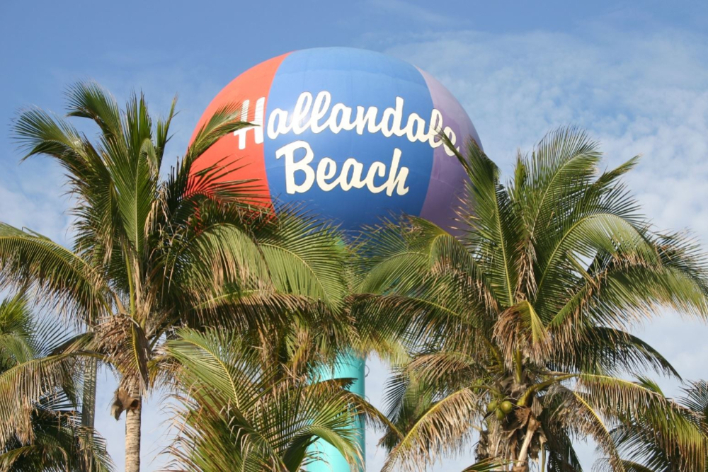 Large colorful sphere sign reading 'Hollandale Beach' peeking through palm trees against a blue sky.