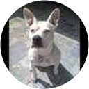 Clint Rogers profile picture